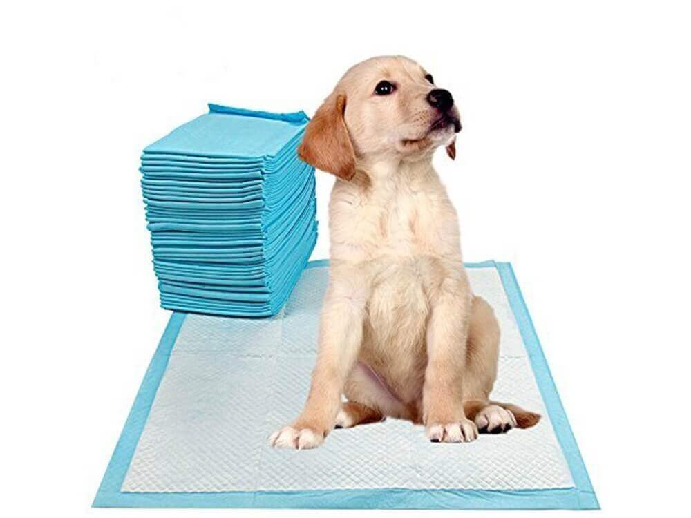20 Traverse Assorbenti Per Cani 60x90cm Lettiera Tappetini Igienici Tappeti - immagine 2